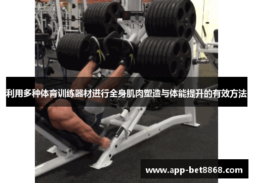利用多种体育训练器材进行全身肌肉塑造与体能提升的有效方法