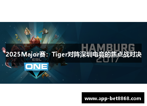 2025Major赛：Tiger对阵深圳电竞的焦点战对决